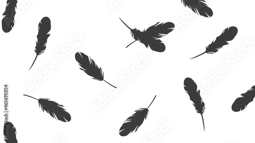 舞う羽　ブラック