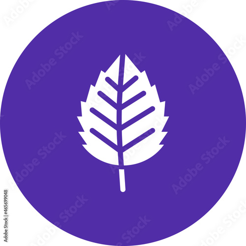 Elm Leaf Icon