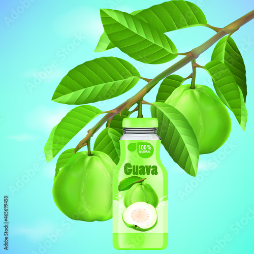 The branches of the guava tree bear fruit in a bottle of guava juice.