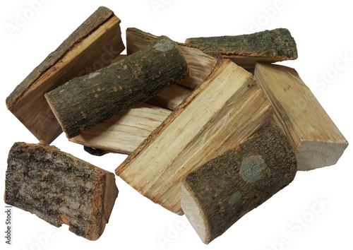 dendropanax morbifera, Korean Dendropanax tree isolated on white background
