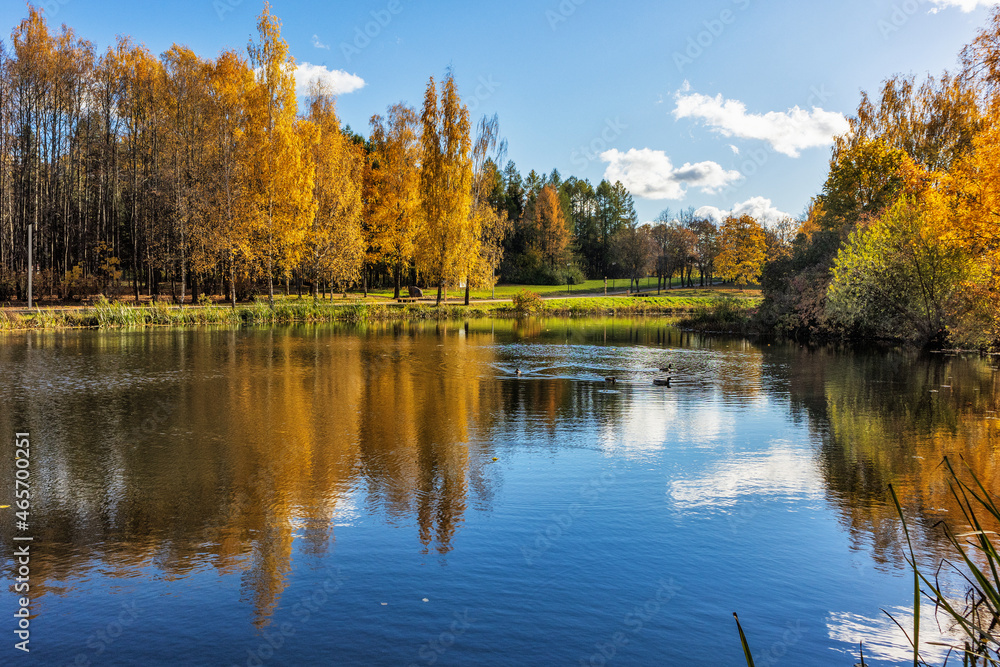 Obraz premium Autumn landscape in the park