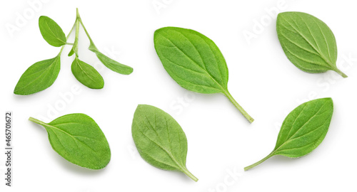 Oregano or marjoram leaves isolated on white background. Pattern. Fresh oregano spice top view. Flat lay photo