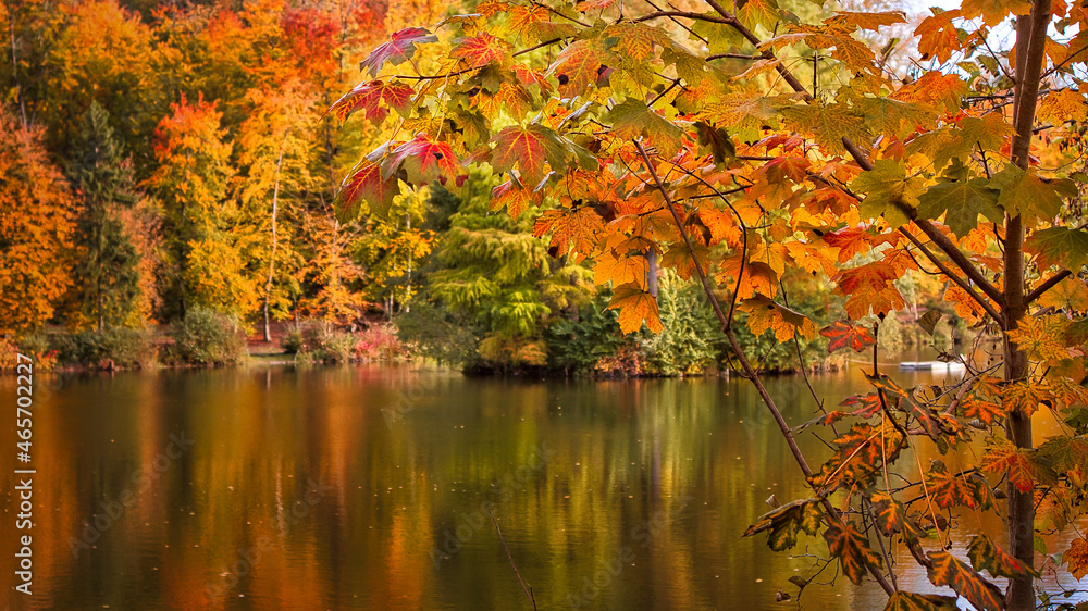 Bunte Blätter im Herbstwald am See Bunte Blätter im Herbstwald am See