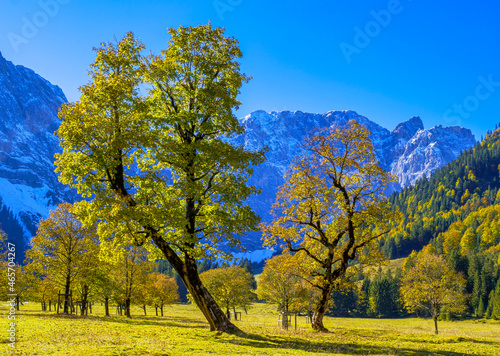 Fototapeta Naklejka Na Ścianę i Meble -  Großer Ahornboden, Karwendelgebirge, Tirol, Österreich, Europa