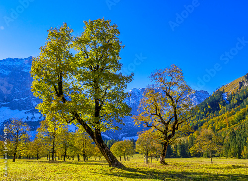 Großer Ahornboden, Karwendelgebirge, Tirol, Österreich, Europa