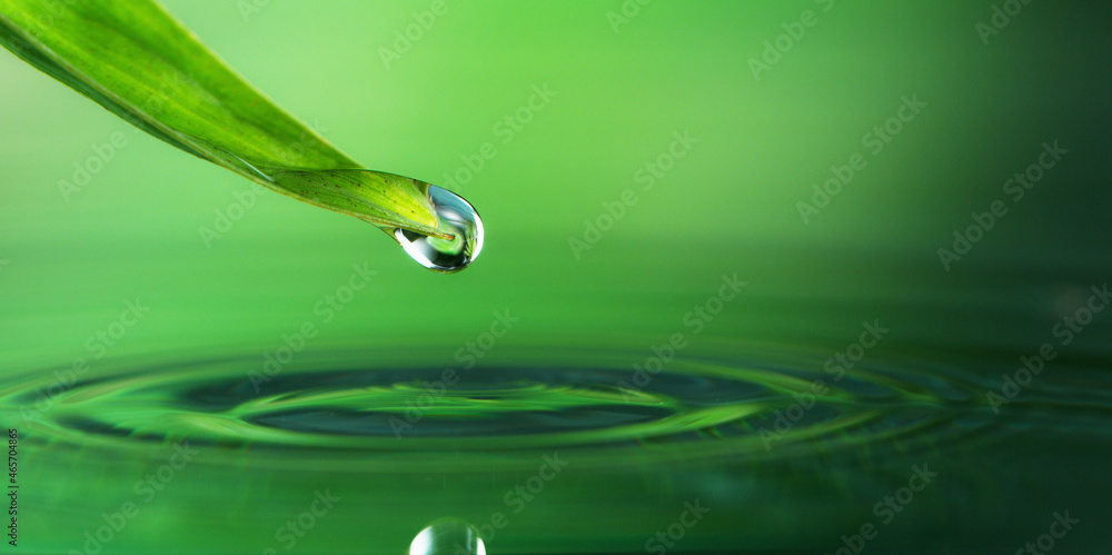 Spa and wellness background with water and leaves Spa and wellness background with water and leaves