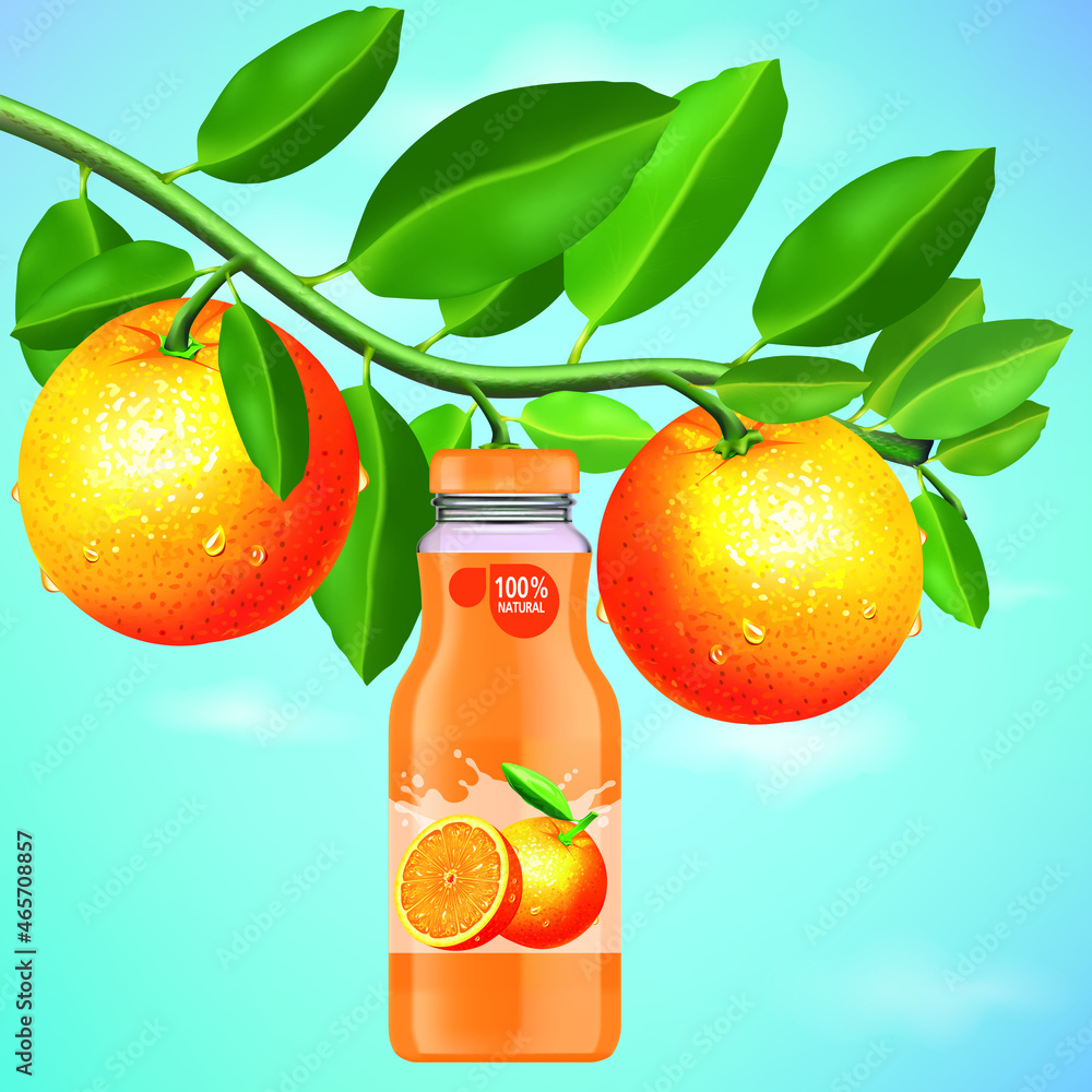 Vetor de The branches of the orange tree bear fruit in a bottle of