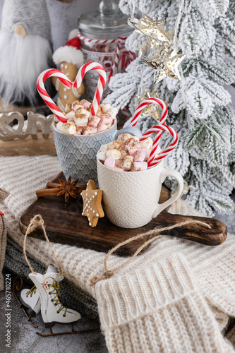 Gingerbread with mug of hot chocolate and candy cane.