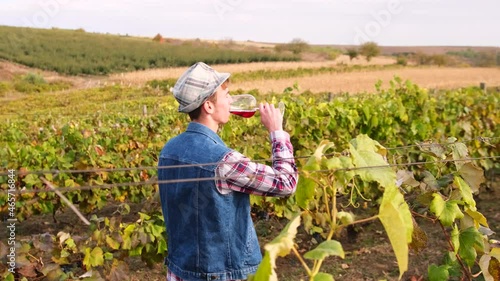 Farmer owner vineyard standing among the rows of grapes and tasting wine from the glass he holds in his hands.