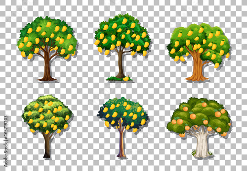 Set of variety mango trees on transparent background