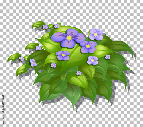 Tropical plant on transparent background