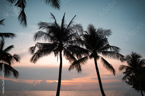 Beautiful light from lens flare shines on green coconut-palm leaf stalk in sunset tropical beach. silhouette coconut palm tree established shot.