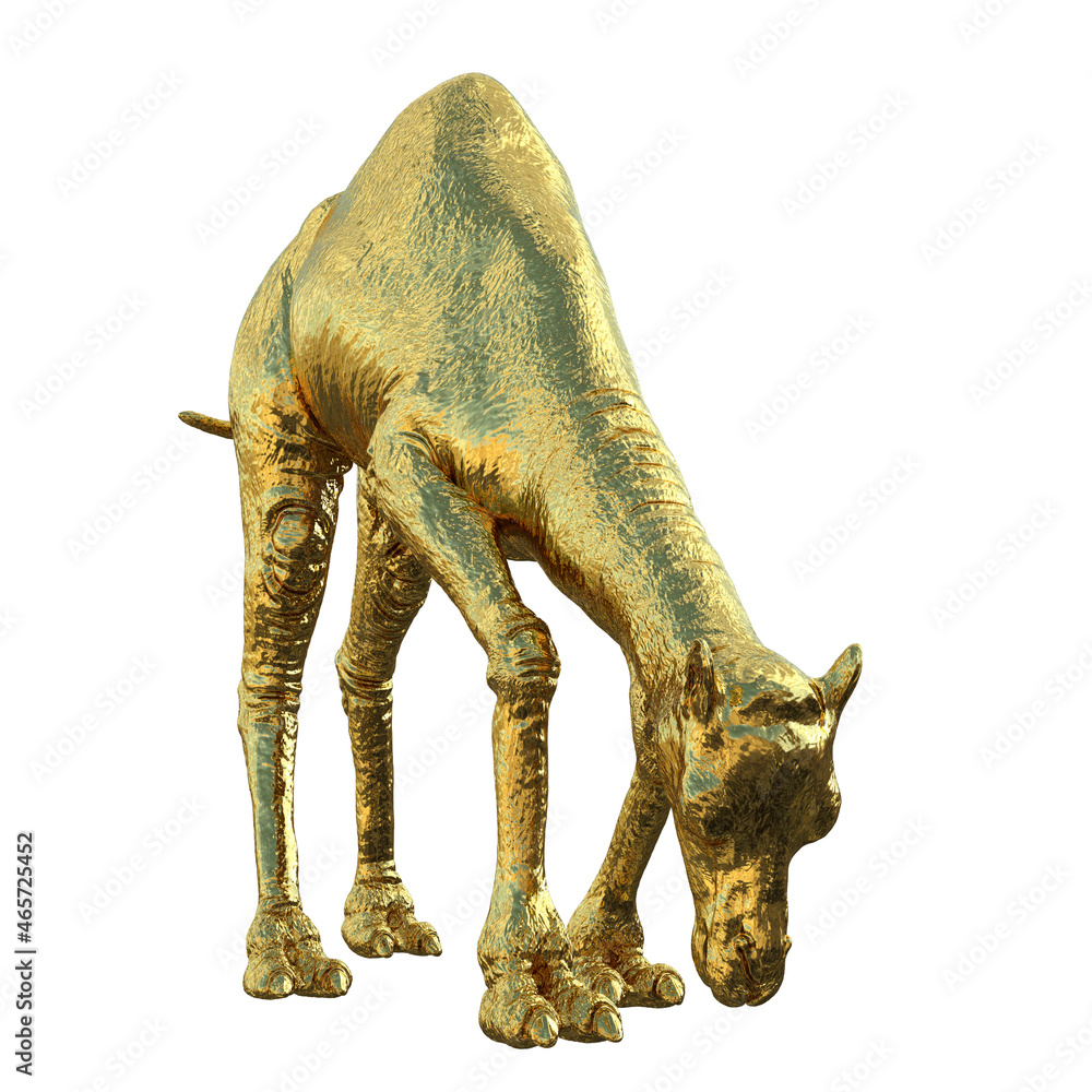 camel gold
