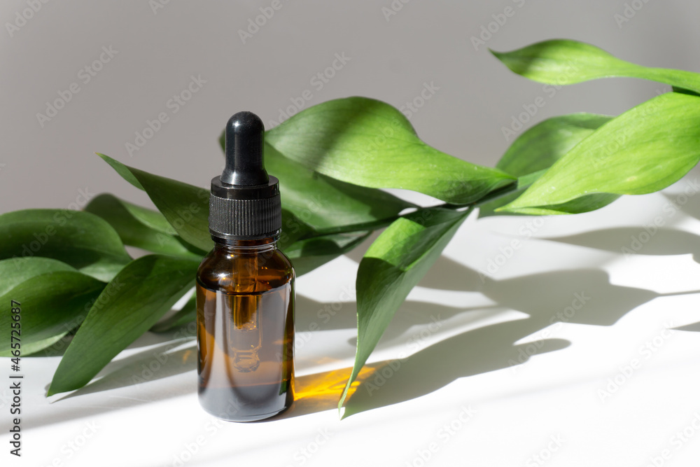 Mock-up of a dropper bottle in sunlight against green branch. Shadow of bottle falls on white background. Concept of beauty industry, body care, aromatherapy Mock-up of a dropper bottle in sunlight against green branch. Shadow of bottle falls on white background. Concept of beauty industry, body care, aromatherapy