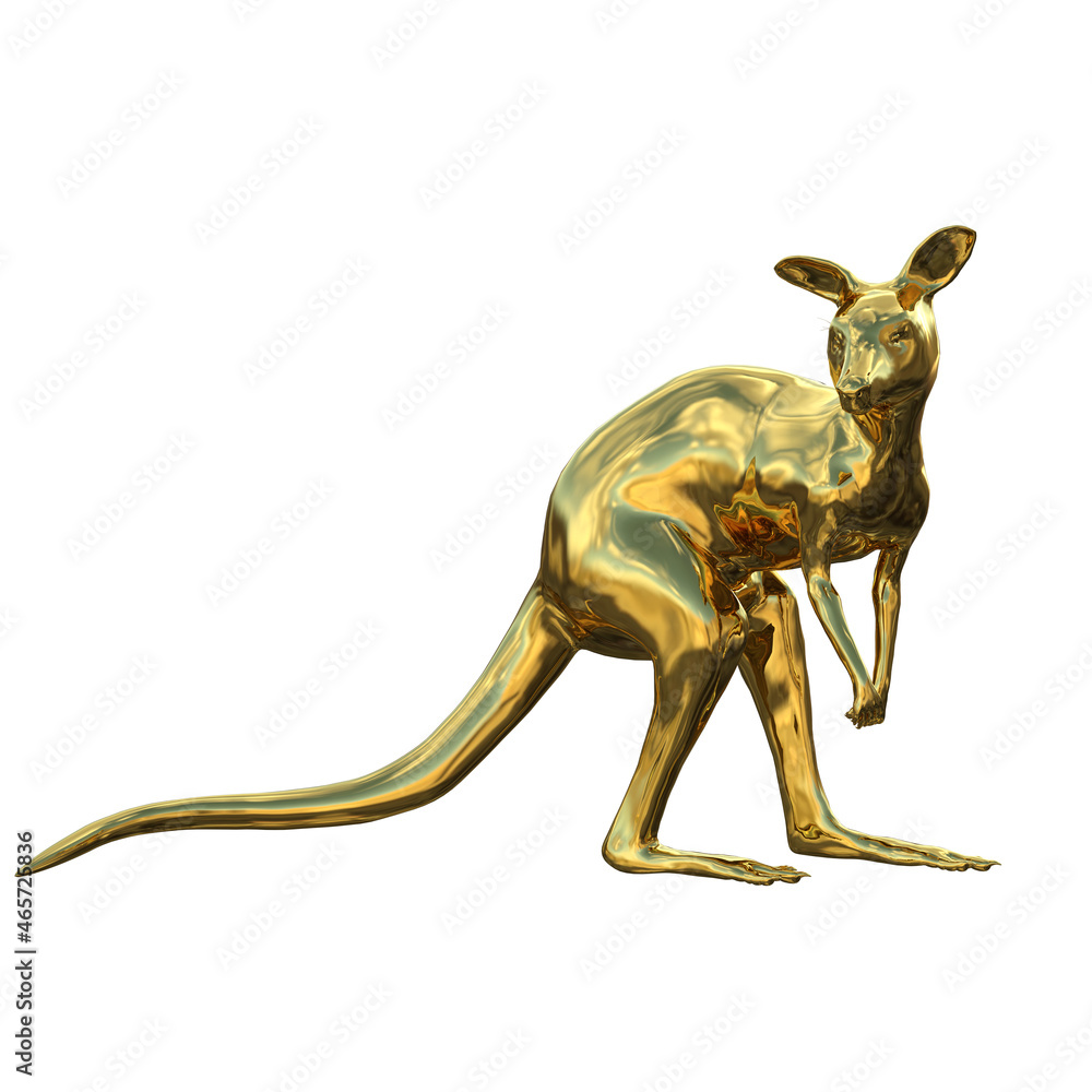 kangaroo