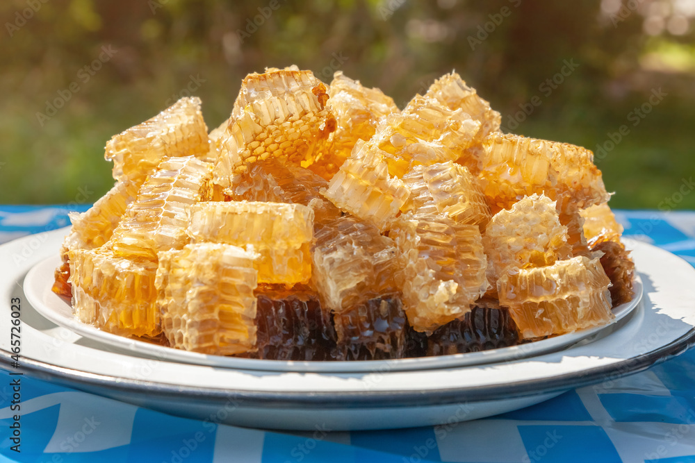 Honeycomb on a plate close-up in the sun. Honeycomb on a plate close-up in the sun.