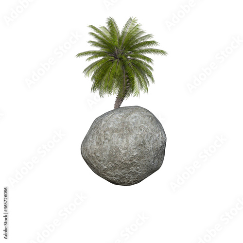 Obraz na płótnie coconut tree w salonie