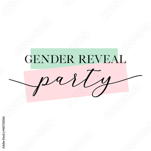 Gender reveal party vector lettering design