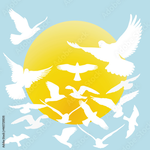 Fliegende Tauben zur Sonne, Illustration 