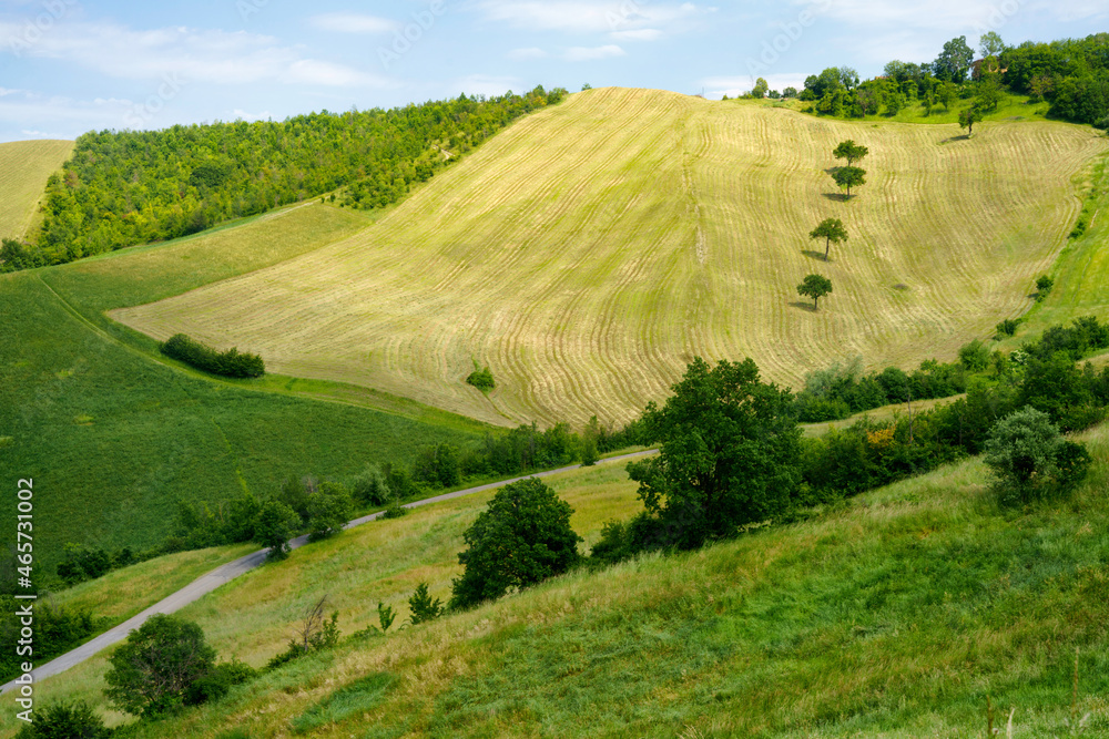 Fototapeta premium Rural landscape along the road from Sassuolo to Serramazzoni, Emilia-Romagna.