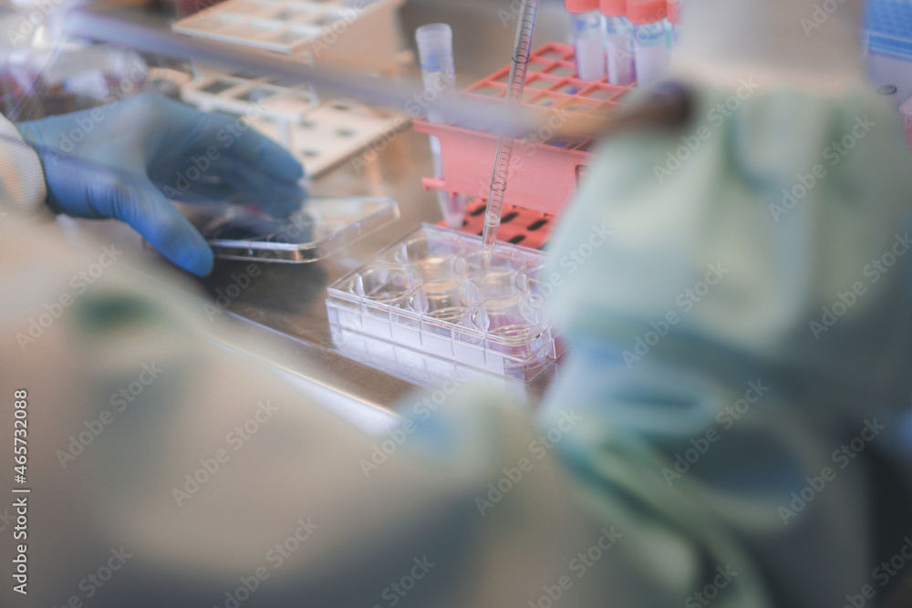 scientist working on human cell culture and tissue engineering in