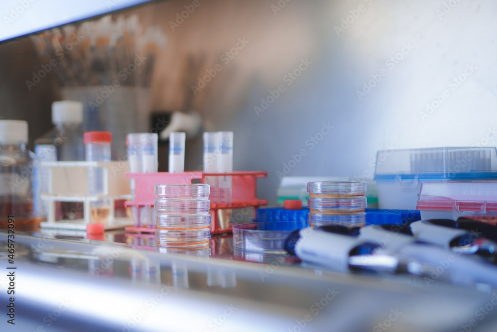 scientist working on human cell culture and tissue engineering in