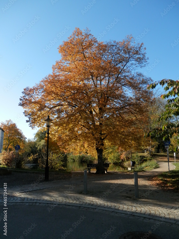 Die Orangerie und der Schloßpark in Meuselwitz im Altenburger Land