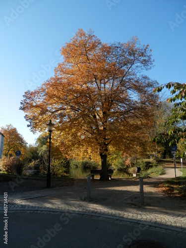 Die Orangerie und der Schloßpark in Meuselwitz im Altenburger Land