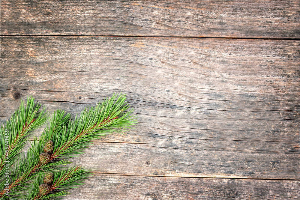 Green branch of a Christmas tree with small cones lies on an old wooden table. Copy space. Top view Green branch of a Christmas tree with small cones lies on an old wooden table. Copy space. Top view