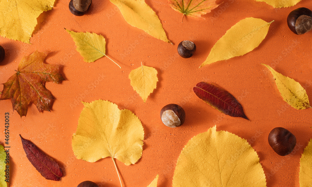Creative layout made of colorful autumn leaves and chestnuts on a rainy orange background. Minimal fall pattern.