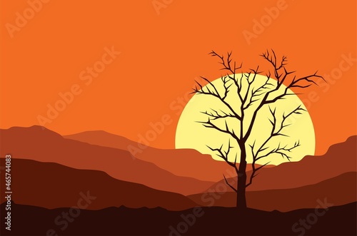 silhouette of a tree in the sunset © Sergey