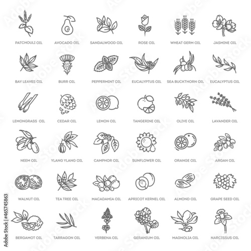 Vector set of natural ingredients and oils for cosmetics in linear style. Essential oil and cosmetics oils, butters