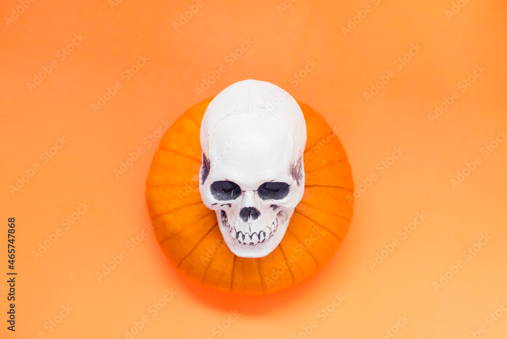 White skull on the orange background. Halloween concept