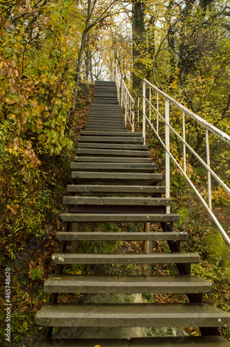 Fototapeta Naklejka Na Ścianę i Meble -  staircase in the forest