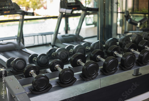 Row of Dumbbell indoor gym. Weight training equipment and bodybuilder concept. Sport club with heavy Weight workout for Muscular.