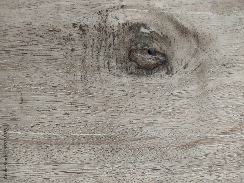 texture of wood