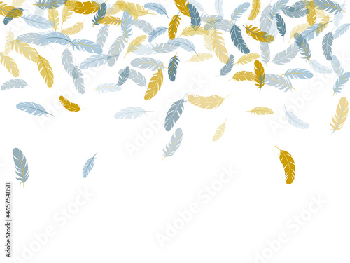 Detailed majestic feather on white design.