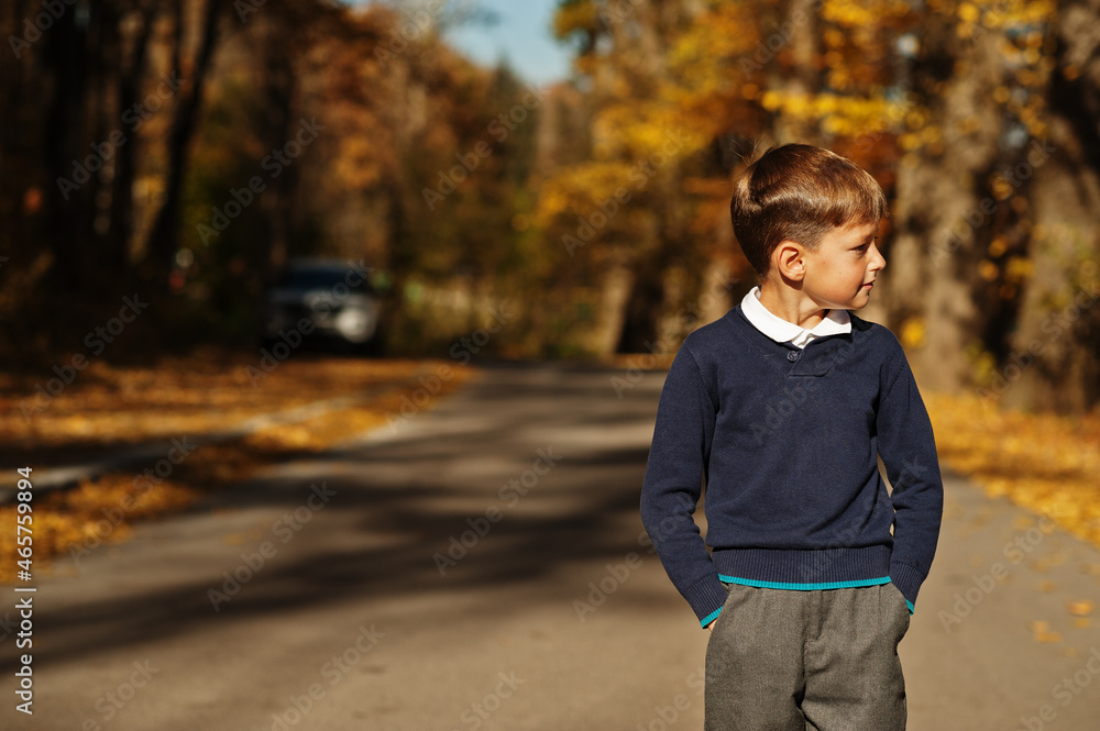 Young boy wear polo shirt and classic sweater pose in autumn background. Young boy wear polo shirt and classic sweater pose in autumn background.