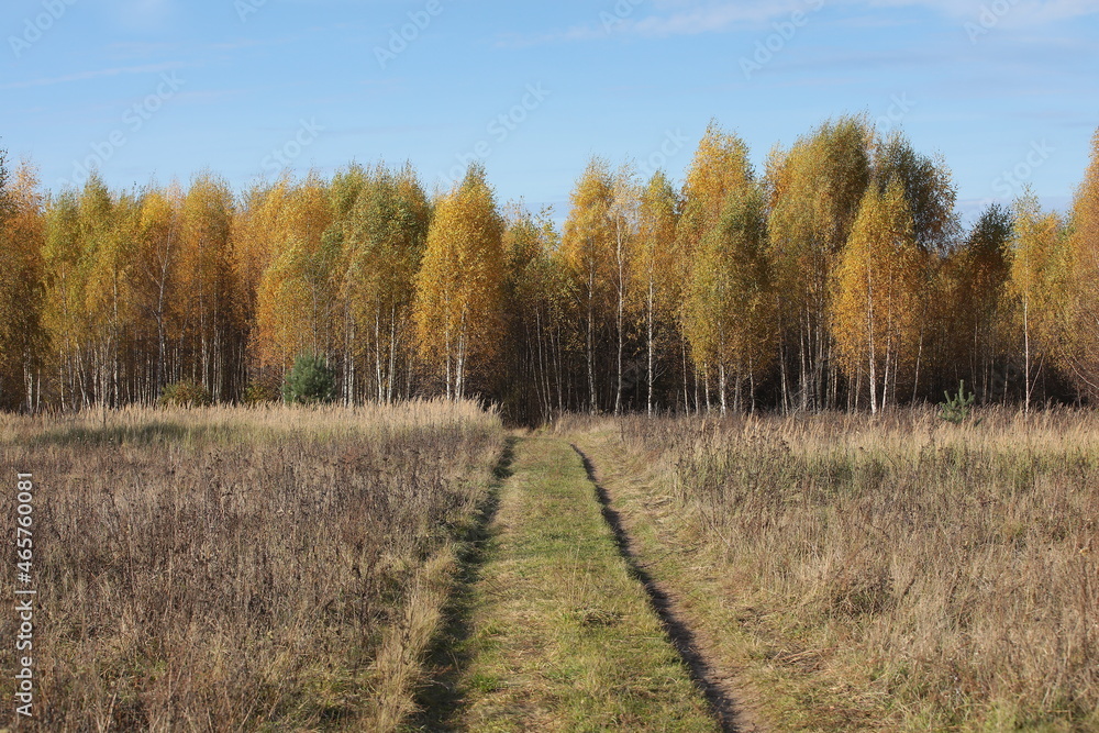 Fototapeta premium Path in autumn field