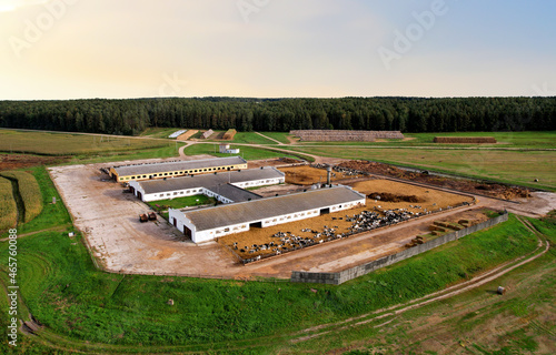Farm building with cows and pigs in the village, aerial view. Cowshed near agriculture field. Production of milk and Animal husbandry. Cow Dairy. Farm animals and Agronomy. Farm of cattle.