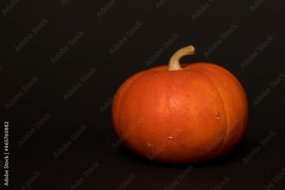 Pumpkin on a black background. Halloween Concept Pumpkin on a black background. Halloween Concept