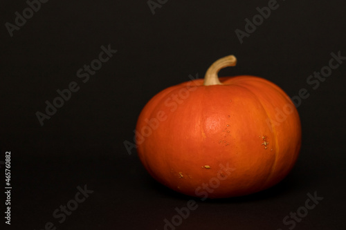Pumpkin on a black background. Halloween Concept