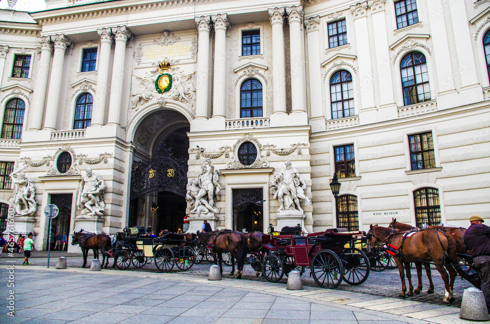 Obraz premium horse carriage Vienna