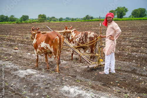 Indian farmer working with bull at his farm.