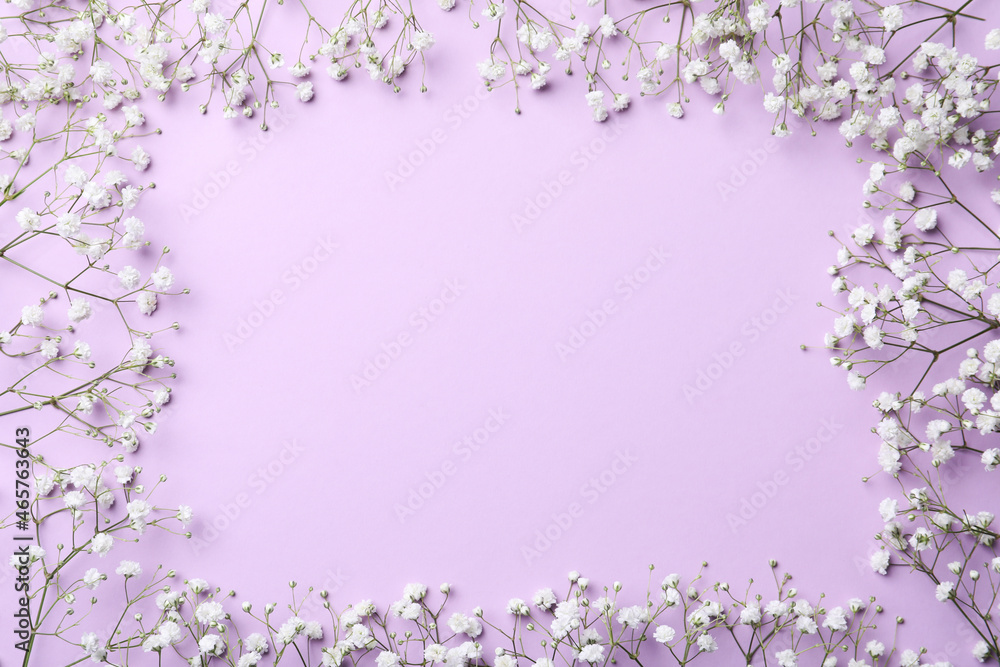 Frame of beautiful gypsophila flowers on violet background, flat lay. Space for text