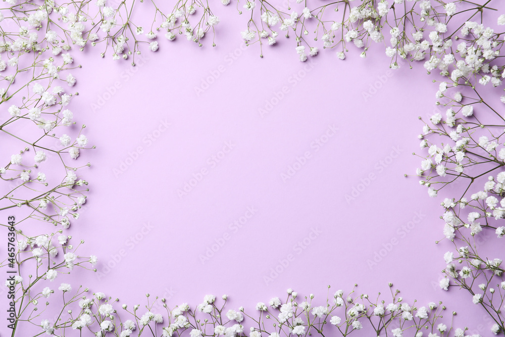 Frame of beautiful gypsophila flowers on violet background, flat lay. Space for text Frame of beautiful gypsophila flowers on violet background, flat lay. Space for text