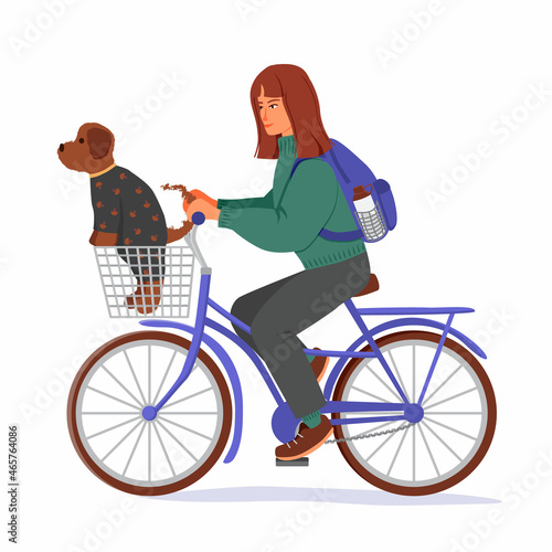 Fototapeta Naklejka Na Ścianę i Meble -  A smiling girl in a warm sweater rides a bicycle. The dog is in the basket. On the back is a backpack. The concept of active lifestyle. Vector illustration in a flat style