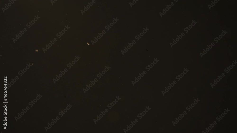 Slow motion rack focusof dust particles float in sunlight on black background Slow motion rack focusof dust particles float in sunlight on black background
