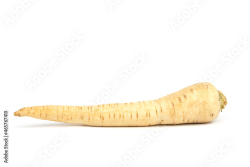 The parsey root isolated on the white background photo