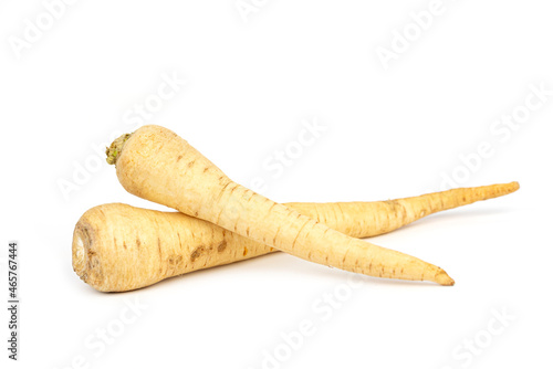 The parsey root isolated on the white background
